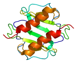 CXCL1
