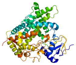 Cytochrom P450 2C19