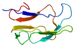 Dihydrolipoyl-Transacylase