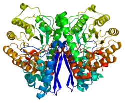 Neuronenspezifische Enolase