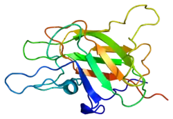 Proaccelerin