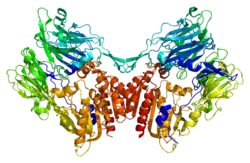 Fibroblasten-Aktivierungs-Protein alpha