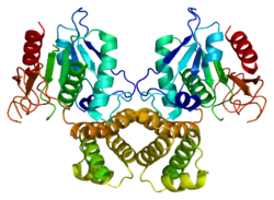 Fettsäure-Synthase