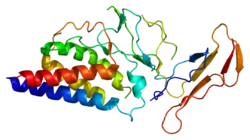 Interleukin-2 receptor subunit alpha
