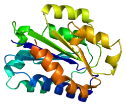 Integrin alpha-X