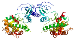 Serin/Threonin-Proteinkinase PAK 4