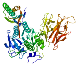 Proproteinkonvertase Subtilisin/Kexin Typ 9