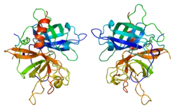 Gewebespezifischer Plasminogenaktivator