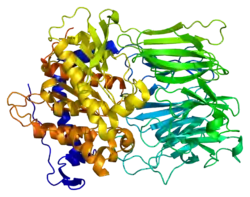 Prolylendopeptidase