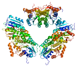 Sepiapterin-Reduktase