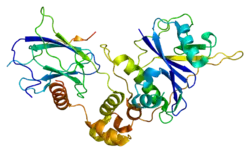 Von-Hippel-Lindau-Tumorsuppressor