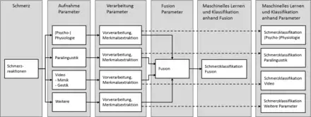 Vereinfachter Prozess der Automatisierten Schmerzerkennung. Ablauf von links nach rechts: Entstehung des Schmerzes, Aufnahme der Schmerzreaktionen, (optionale) Fusion der Modalitäten, Schmerzklassifikation anhand Fusion, Schmerzklassifikation anhand einzelner Parameter.