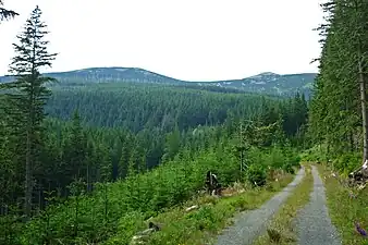 Blick auf die Kleine Sturmhaubeaus der Nähe von  Podgórzyn (Giersdorf). Daneben das Kleine Rad (links im Bild).