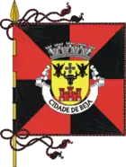 Flagge von Beja