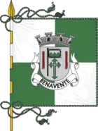 Flagge des Concelhos Benavente