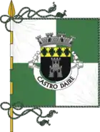 Flagge von Castro Daire