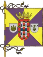 Flagge von Caldas da Rainha