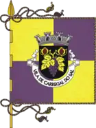 Flagge von Carregal do Sal