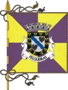 Flagge von Felgueiras