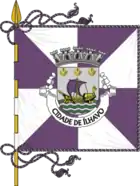 Flagge von Ílhavo