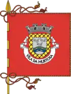 Flagge des Concelhos Murtosa