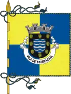 Flagge des Concelhos Mortágua