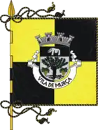 Flagge des Concelhos Murça