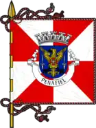 Flagge des Concelhos Penafiel