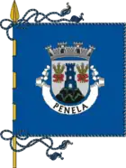 Flagge von Penela