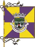 Flagge des Concelhos Reguengos de Monsaraz