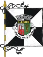 Flagge von São João da Madeira