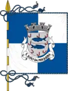 Flagge des Concelhos São João da Pesqueira