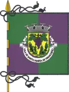Flagge von Santa Marta de Penaguião