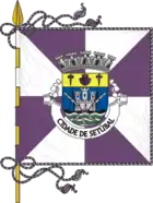 Flagge von Setúbal