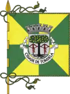 Flagge von Tondela
