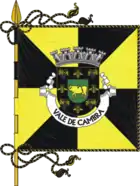 Flagge von Vale de Cambra
