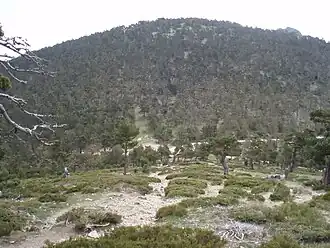 Puerto de La Fuenfría, Passhöhe im Tal