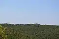 Puig de les Cadiretes vom Montagut aus gesehen. Der Puig de les Cadiretes ist nur als kleiner Zacken zu erkennen