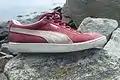 Schuhmodell Suede