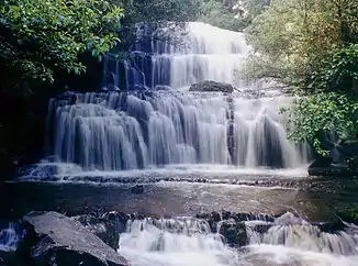 Purakaunui Falls, Neuseeland