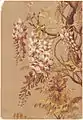 Purple Wisteria, Farblithografie, Boston Public Library, 1880/90er Jahre