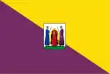 Flagge des Ortes Putte