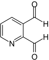 Strukturformel von Pyridin-2,3-dialdehyd