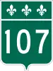 R107