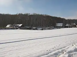 Das winterliche Quernholz