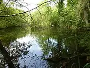 Naturschutzgebiet auf der Insel Rohrschollen