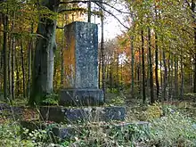 Bei Baierbrunn in Buchenhain