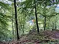 Röntgenweg am Felshang über dem Wupperpark