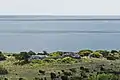 Röse Lauphargi auf Stora Karlsö