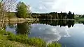 Schönewalder Weiher